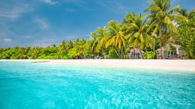 Tropik plaj manzarası, yaz manzarası, palmiye ağaçları ve beyaz kum, plaj afişi için sakin deniz ufku. Rahatla plaj sahnesi, tatil ve yaz tatili konsepti. Lüks yaz seyahati
