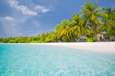 Tropik plaj manzarası, yaz manzarası, palmiye ağaçları ve beyaz kum, plaj afişi için sakin deniz ufku. Rahatla plaj sahnesi, tatil ve yaz tatili konsepti. Lüks yaz seyahati