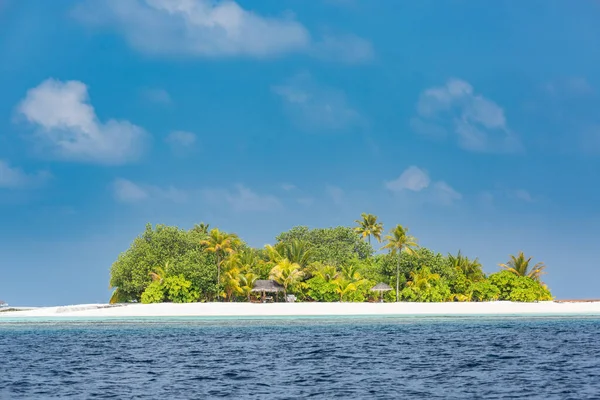 Île Tropicale Dans Atoll Océan Indien Île Subtropicale Sauvage Inhabitée — Photo