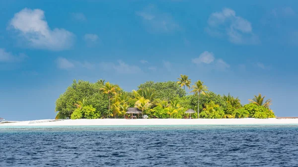 Hint Okyanusu Ndaki Tropik Ada Palmiye Ağaçları Olan Issız Vahşi — Stok fotoğraf