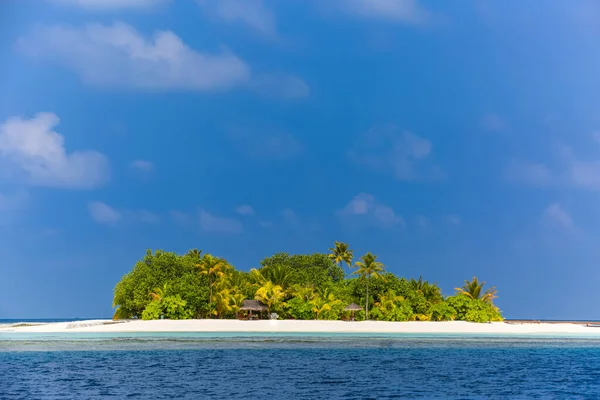Tropical island within atoll in Indian Ocean. Uninhabited and wild subtropical isle with palm trees. Blank sand on a tropical island. The amazing long white sand beach of Maldives