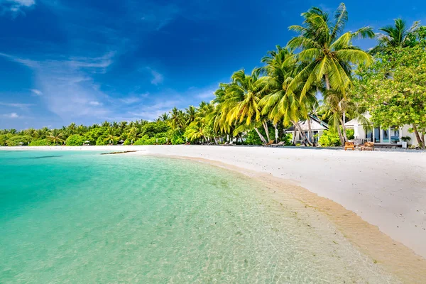 Vista Panorâmica Praia Tropical Paisagem Verão Palmeiras Areia Branca Horizonte — Fotografia de Stock