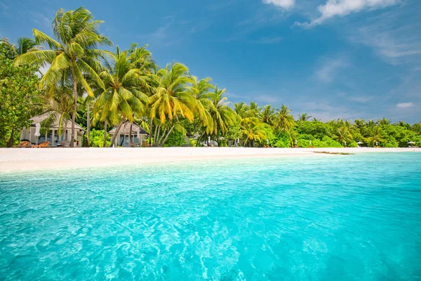 Tropischer Strandpanoramablick Sommerlandschaft Palmen Und Weißer Sand Horizont Des Ruhigen — Stockfoto