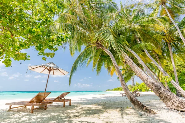 Couple Retreat Maldives Island Beach Chairs Umbrella Amazing Palm Trees — Stock Photo, Image