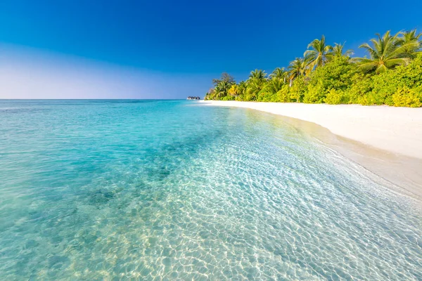 Fondo Playa Tropical Como Paisaje Verano Con Columpio Playa Hamaca —  Fotos de Stock