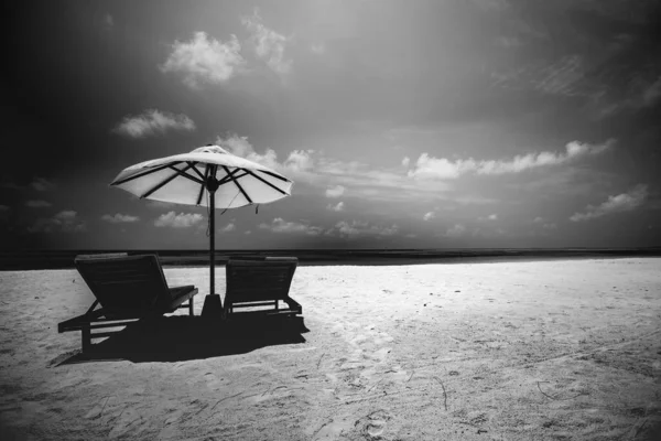 Imagen Blanco Negro Playa Tropical Sillas Salón Sombrilla Con Cielo —  Fotos de Stock