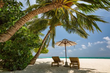 Güzel sahil. Deniz kenarındaki kumlu sahilde sandalyeler. Yaz tatili ve turizm için tatil konsepti. İlham verici tropikal manzara. Lüks balayı, çift varış yeri, beyaz kumlu palmiye ağaçları, sakin deniz manzarası.