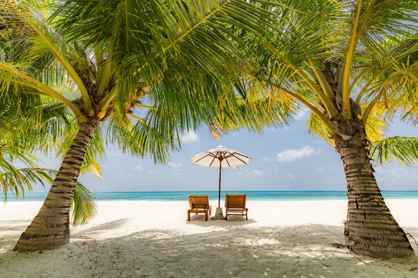 美しいビーチだ 海の近くの砂浜の椅子 観光のための夏休みと休暇の概念 インスピレーションに満ちた熱帯の風景 豪華な新婚旅行 カップル旅行先 白い砂浜のヤシの木 穏やかな海の景色 — ストック写真