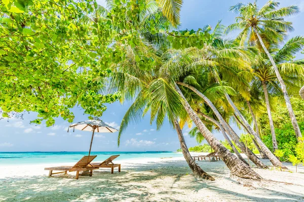 Piękna Plaża Krzesła Piaszczystej Plaży Pobliżu Morza Koncepcja Wakacji Letnich — Zdjęcie stockowe