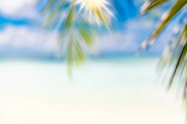 Blur beautiful nature green palm leaf on tropical beach with bokeh sun light wave abstract background. Copy space of summer vacation and business travel concept. Summer tropical sea with sand beach, palm leaves, sparkling waves and blue sunny sky