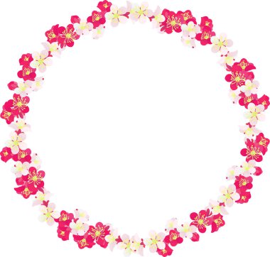 Erik çiçekleri ile yapılan çerçeve