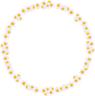 Nergis ile yapılan çerçeve