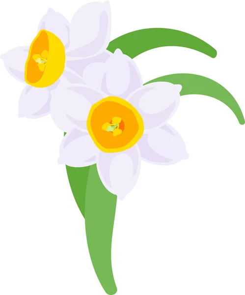 Ilustración Bastante Narciso — Vector de stock