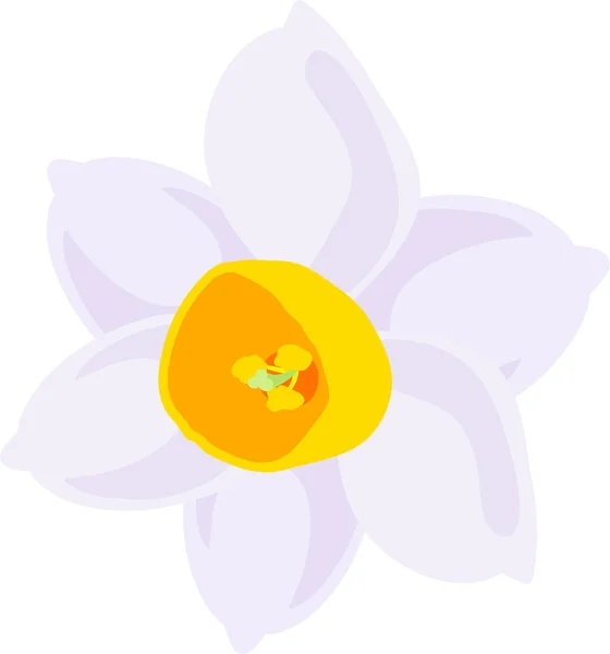 Afbeelding Van Mooie Narcissus — Stockvector