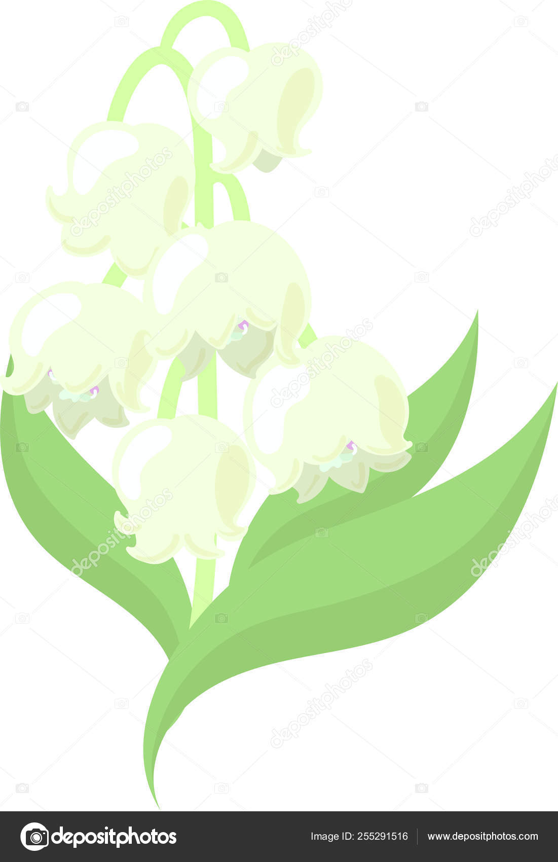 新鮮なユリ の イラスト ディズニー画像のすべて