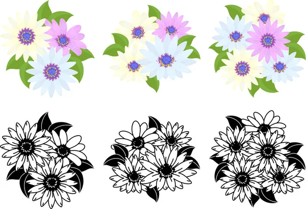 Los Iconos Lindos Osteospermum — Archivo Imágenes Vectoriales