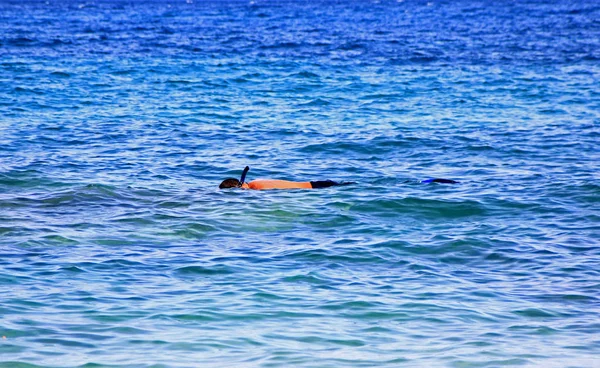 Snorkel man exploring the underwater sea nature