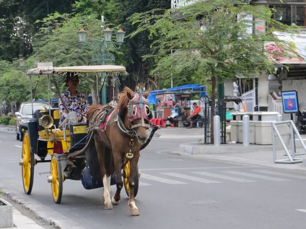Yogyakarta Indonesia October 2018 Delman Horse Drawn Carriage Passing Jalan — Stock Photo, Image