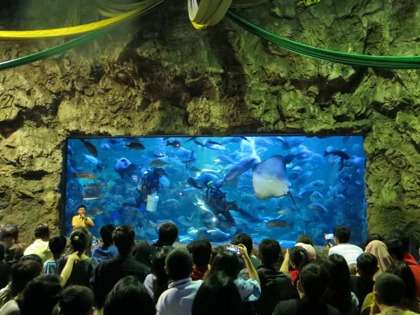 Jakarta Indonesien Juni 2018 Menschenmassen Beobachten Das Unterwasser Aquarium Auf — Stockfoto