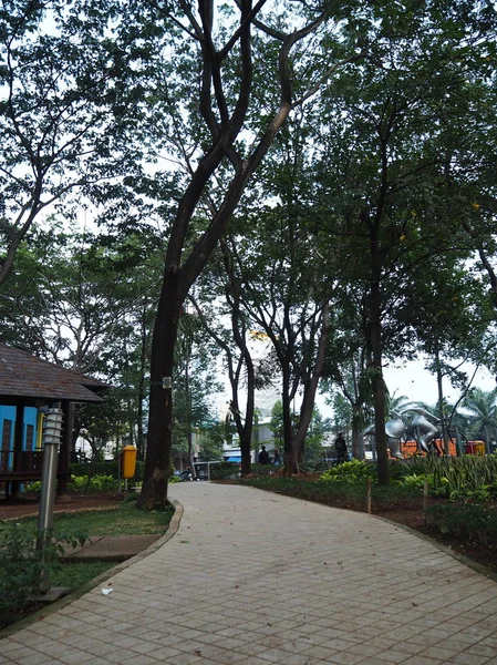 인도네시아 2018 풍경과 Potret 공원에 그늘진 산책로 — 스톡 사진