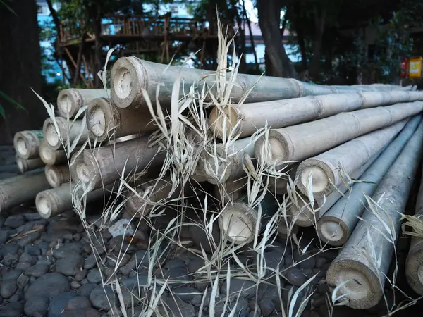 Tangerang Indonésia Outubro 2018 Uma Pilha Paus Bambu Estava Chão — Fotografia de Stock