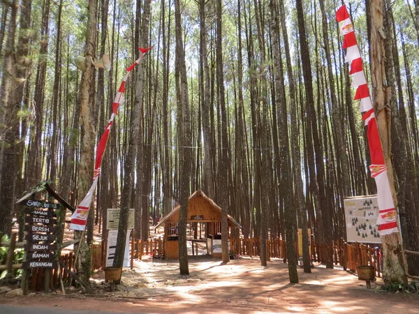 Yogyakarta Indonésie Octobre 2018 Porte Entrée Hutan Pinus Mangunan Forêt — Photo