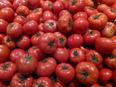 Bir çiftçi pazarda taze domates.