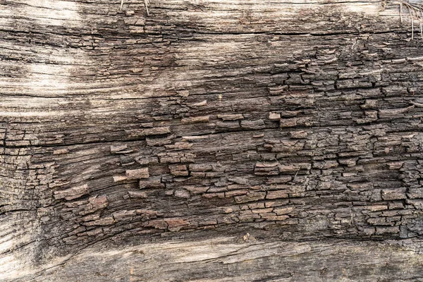 Staré Hnědé Dřevo Textury Pozadí — Stock fotografie