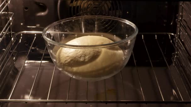 お菓子のカップはオーブンで育ちます このクリップは キヤノン C300 で撮影されました — ストック動画