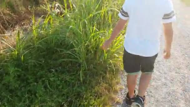 Enfant Avec Main Dans Herbe — Video