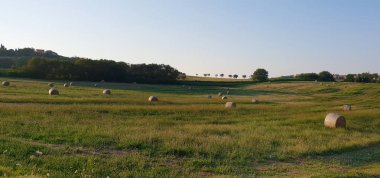 Fantastik yaz kırsal ilham verici manzara: Marche, İtalyan bir bölge
