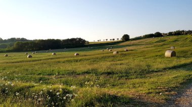 Fantastik yaz kırsal ilham verici manzara: Marche, İtalyan bir bölge