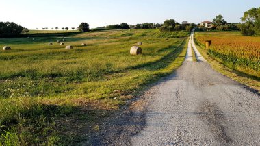 Fantastik yaz kırsal ilham verici manzara: Marche, İtalyan bir bölge