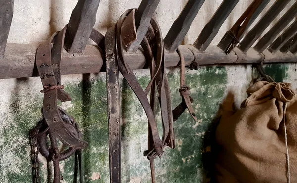 Montasio merkezi antik şatoda Vintage istikrarlı ekipman