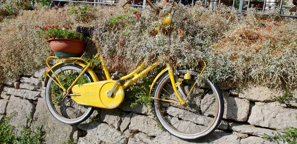 Bir bisiklet büyük bir flowerbed kullanılarak yapılan bir sanat kompozisyon