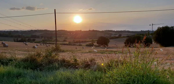 Fantastik yaz kırsal ilham verici manzara: Marche, İtalyan bir bölge