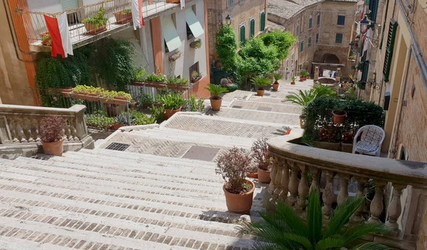 Folkloristic merdiven zengin bitki ve çiçek Corinaldo'nın ortaçağ merkezi
