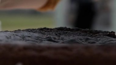 Bir pasta şefi yanmış bir pasta ile hata