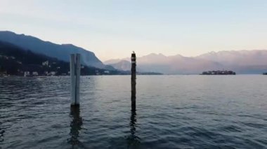 Bir martı kutup gün batımı göl hayran.