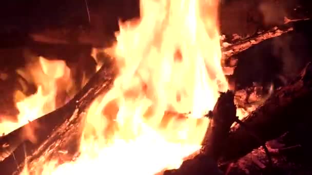 Heet Vuur Verbranden Van Hout Het Bos Tijdens Nacht — Stockvideo