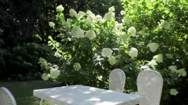 Özel bir akşam yemeği veya romantik kahvaltı için beyaz bir tablo ile çok şık bir bahçe