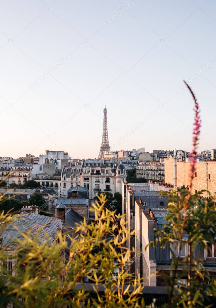 view on eiffel tower in Paris city with buildings 