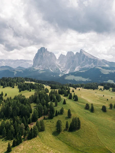 Vista Panorâmica Belos Campos Verdes Com Majestosas Montanhas Fundo Alpe — Fotografia de Stock