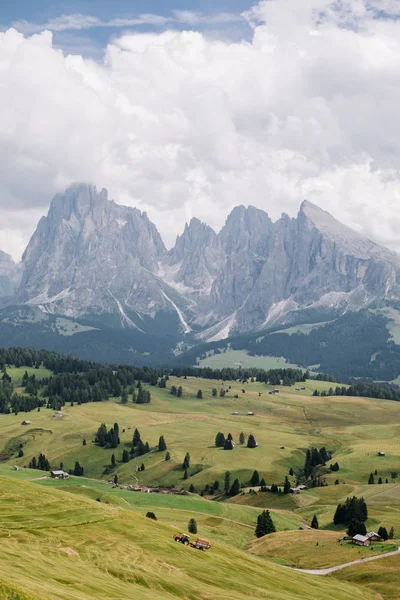 Vista Panorâmica Belos Campos Verdes Com Majestosas Montanhas Fundo Alpe — Fotografia de Stock