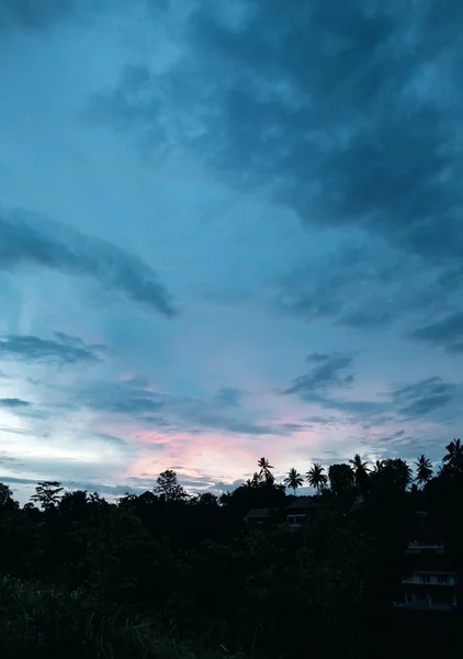 Ubud Bali Indonesië Avondrood Silhouetten Van Bomen — Stockfoto