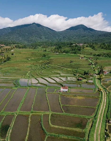Jatiluwih Rijstvelden Bergen Bali Indonesië — Stockfoto