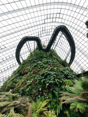 Singapur - 28 Ocak 2019: Singapur 'da Konservatuar Bulut Ormanı Kubbesi Panoraması