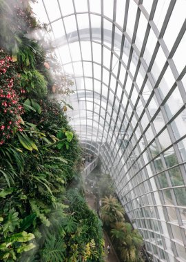 Singapur - 28 Ocak 2019: Singapur 'da Konservatuar Bulut Ormanı Kubbesi Panoraması