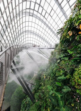 Singapur - 28 Ocak 2019: Singapur 'da Konservatuar Bulut Ormanı Kubbesi Panoraması