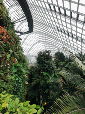 Singapur - 28 Ocak 2019: Singapur 'da Konservatuar Bulut Ormanı Kubbesi Panoraması